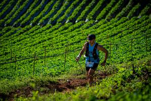 BIB: 
                            <button type="button" onclick="openModal(19160793)" class="btn btn-primary btn-sm float-right btn-popup" data-toggle="modal" data-target=".modal-high-quality">
                        <i class="fas fa-shopping-cart"></i> Add to Cart
                    </button>
                                            <button type="button" onclick="isThisMe(19160793, true)" class="btn btn-success btn-sm float-right btn-popup btn-isme hidden" data-toggle="tooltip" data-placement="bottom" title="นี่คือรูปของคุณใช่ไหม คลิกที่นี่เพื่อเอาเข้าอัลบั้ม">
                        <i class="fas fa-plus"></i> Add to album
                    </button>
                    <button type="button" onclick="isThisMe(19160793, false)" class="btn btn-warning btn-sm float-right btn-popup btn-isnotme hidden">
                        <i class="fas fa-ban"></i> Remove from album
                    </button>